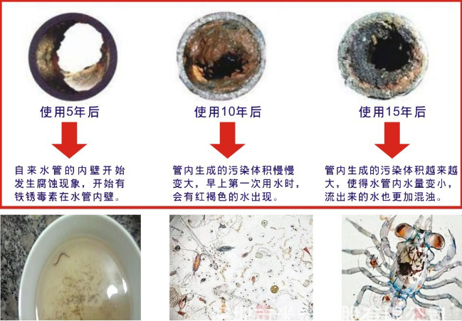 低成本創(chuàng)業(yè)項目